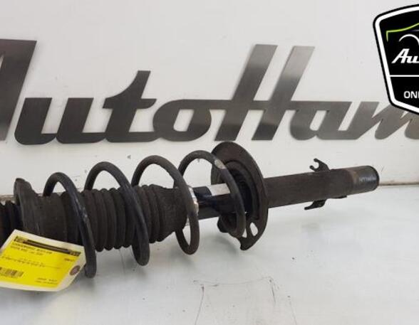 Shock Absorber TOYOTA AYGO (_B1_), CITROËN C1 (PM_, PN_), PEUGEOT 107 (PM_, PN_)