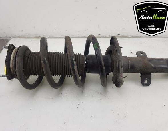 Shock Absorber FORD TRANSIT V363 Van (FCD, FDD), FORD TRANSIT V363 Bus (FAD, FBD)