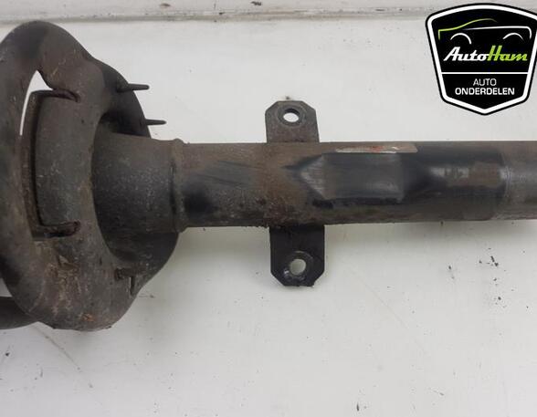 Shock Absorber FORD TRANSIT V363 Van (FCD, FDD), FORD TRANSIT V363 Bus (FAD, FBD)