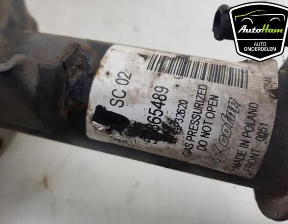 Shock Absorber FIAT GRANDE PUNTO (199_), FIAT PUNTO (199_), FIAT PUNTO EVO (199_)