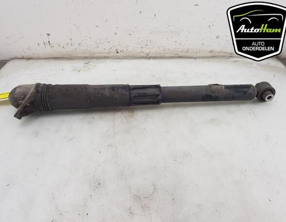 Shock Absorber VW TIGUAN (AD1, AX1), VW TIGUAN ALLSPACE (BW2)