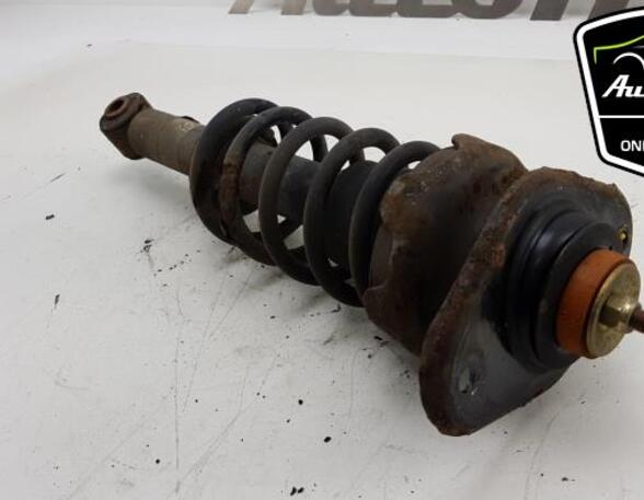 Shock Absorber MINI MINI (R50, R53), MINI MINI (R56)