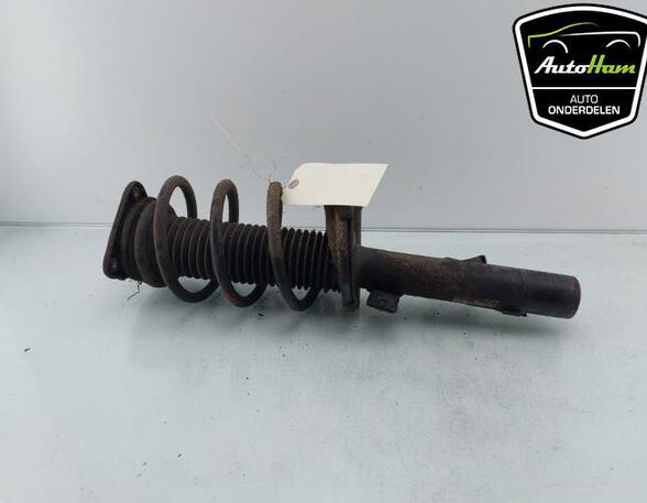 Shock Absorber FORD C-MAX (DM2), FORD FOCUS C-MAX (DM2), FORD FOCUS II (DA_, HCP, DP)