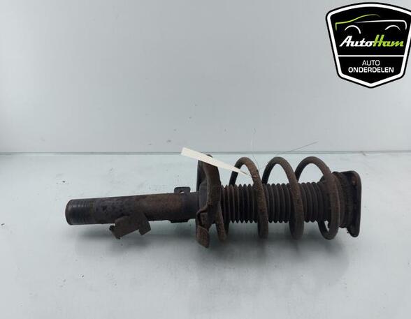 Shock Absorber FORD C-MAX (DM2), FORD FOCUS C-MAX (DM2), FORD FOCUS II (DA_, HCP, DP)