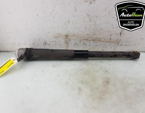 Shock Absorber SKODA KAMIQ (NW4)