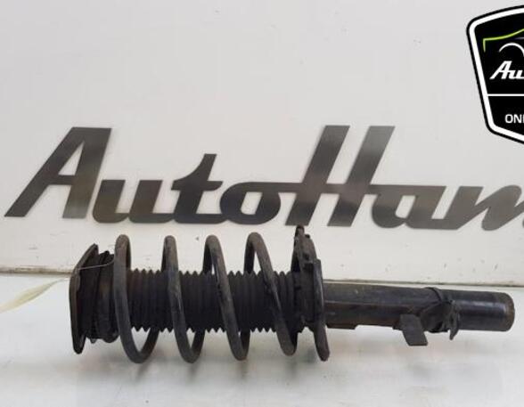 Shock Absorber FORD FOCUS III Turnier