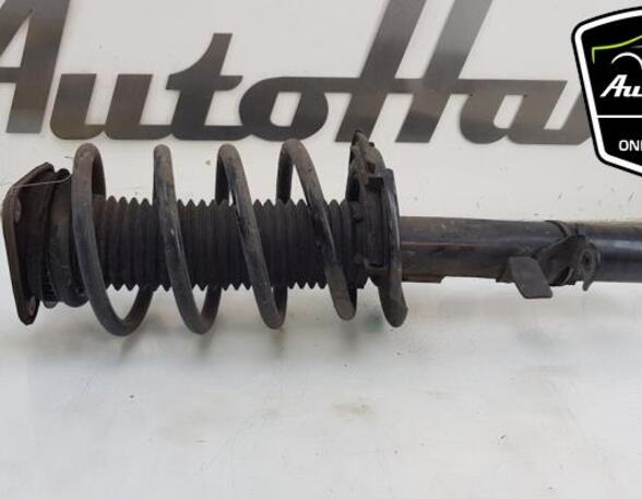 Shock Absorber FORD FOCUS III Turnier