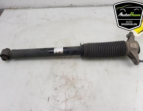 Shock Absorber TESLA MODEL 3 (5YJ3)