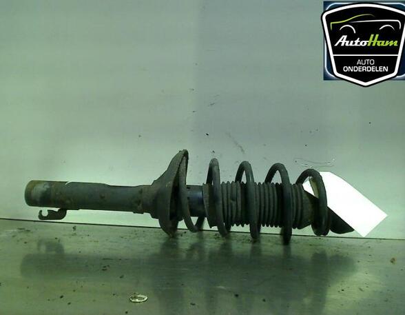 Shock Absorber VW GOLF IV (1J1), VW BORA (1J2), AUDI A3 (8L1), VW GOLF IV Variant (1J5)