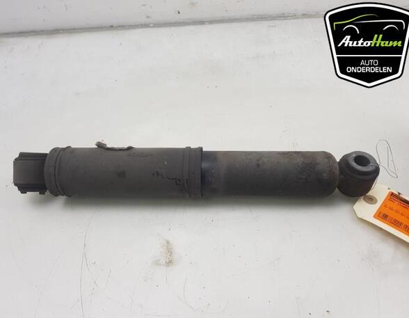 Shock Absorber CITROËN JUMPY III Van (V_)