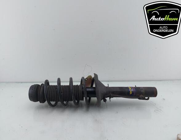 Shock Absorber VW GOLF IV (1J1), VW GOLF IV Variant (1J5), SEAT TOLEDO II (1M2), SKODA OCTAVIA I Combi (1U5)