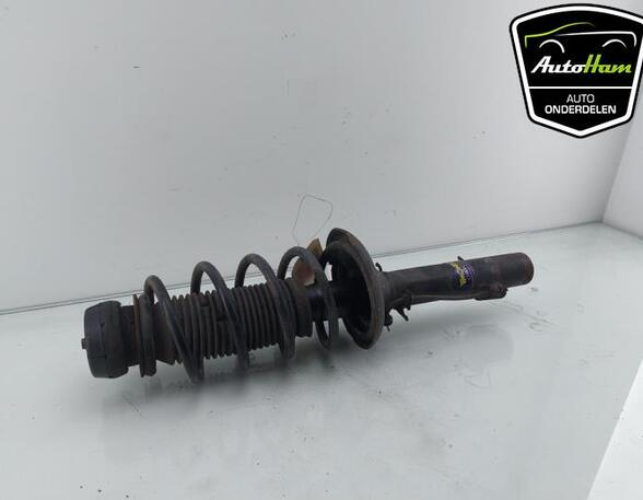 Shock Absorber VW GOLF IV (1J1), VW GOLF IV Variant (1J5), SEAT TOLEDO II (1M2), SKODA OCTAVIA I Combi (1U5)