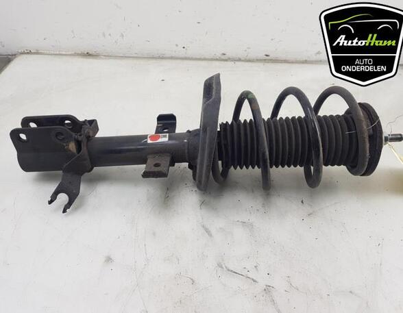 Shock Absorber RENAULT CLIO V (B7_)