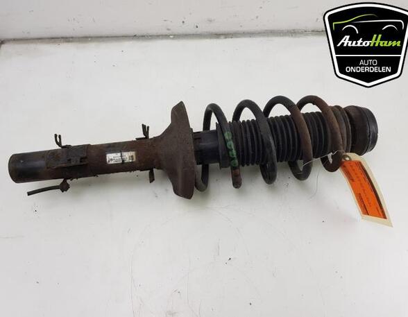 Shock Absorber AUDI TT (8N3)