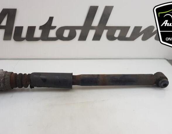 Shock Absorber AUDI A6 Allroad (4FH, C6), AUDI A6 Avant (4F5, C6)