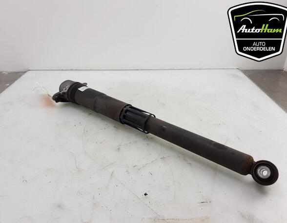 Shock Absorber VW TOURAN (5T1)