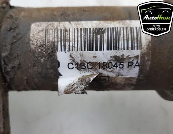 Shock Absorber FORD FIESTA VI (CB1, CCN)