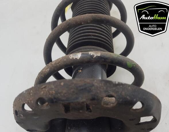 Shock Absorber SEAT IBIZA IV (6J5, 6P1), SEAT IBIZA IV SC (6J1, 6P5), VW POLO (6R1, 6C1), VW POLO Van (6R)