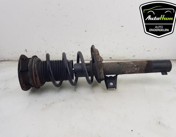 Shock Absorber AUDI A3 Limousine (8VS, 8VM), AUDI A3 Sportback (8VA, 8VF)