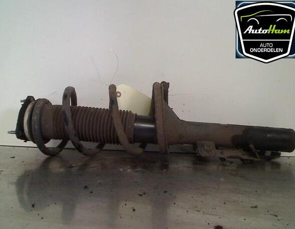 Shock Absorber FORD TRANSIT Van (FA_ _), FORD TRANSIT Bus (FD_ _, FB_ _, FS_ _, FZ_ _, FC_ _)