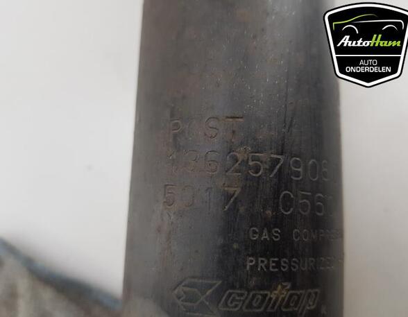 Shock Absorber FIAT DUCATO Van (250_, 290_), FIAT DUCATO Bus (250_, 290_)