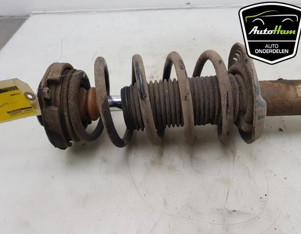 Shock Absorber VW GOLF VI Convertible (517), VW PASSAT Variant (3C5), VW GOLF V (1K1), VW GOLF VI (5K1)