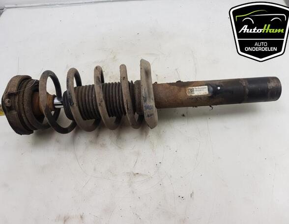 Shock Absorber VW GOLF VI Convertible (517), VW PASSAT Variant (3C5), VW GOLF V (1K1), VW GOLF VI (5K1)