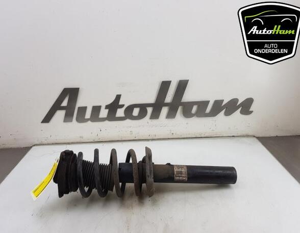 Shock Absorber AUDI A3 (8P1), AUDI A3 Sportback (8PA)