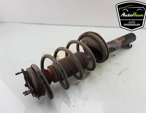 Shock Absorber FORD TRANSIT CONNECT (P65_, P70_, P80_), FORD TRANSIT CUSTOM V362 Van (FY, FZ)