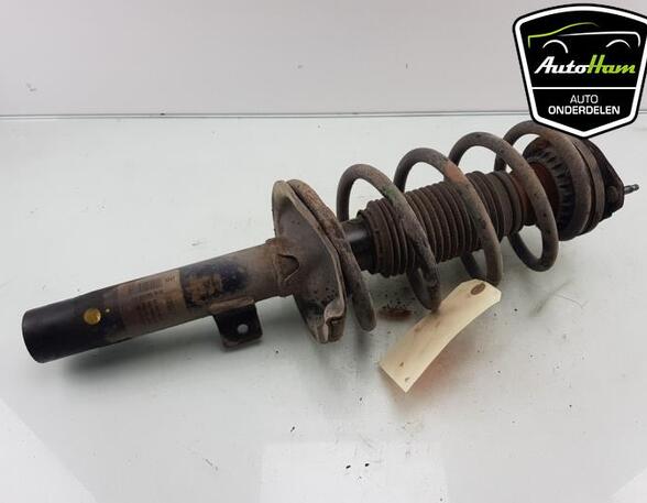 Shock Absorber FORD TRANSIT CONNECT (P65_, P70_, P80_), FORD TRANSIT CUSTOM V362 Van (FY, FZ)