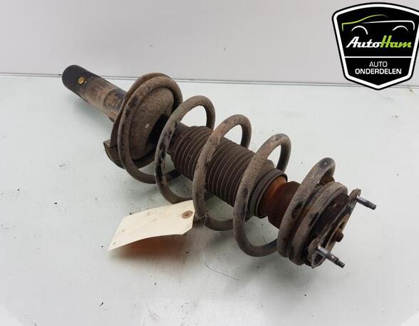 Shock Absorber FORD TRANSIT CONNECT (P65_, P70_, P80_), FORD TRANSIT CUSTOM V362 Van (FY, FZ)