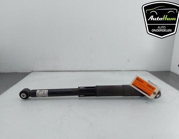 Shock Absorber VW GOLF VIII (CD1)