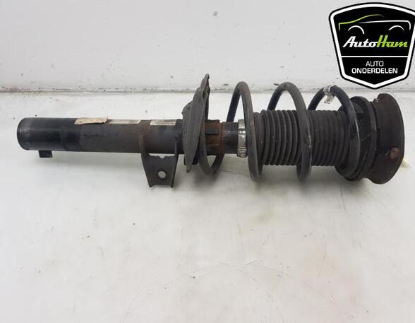 Shock Absorber SEAT IBIZA IV (6J5, 6P1), SEAT IBIZA IV SC (6J1, 6P5), VW GOLF VII (5G1, BQ1, BE1, BE2)