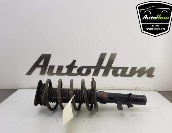 Shock Absorber FORD C-MAX II (DXA/CB7, DXA/CEU)