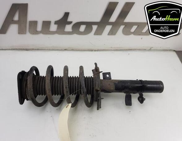 Shock Absorber FORD C-MAX II (DXA/CB7, DXA/CEU)