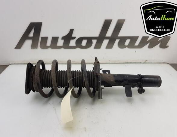 Shock Absorber FORD C-MAX II (DXA/CB7, DXA/CEU)