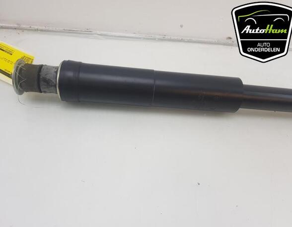 Shock Absorber VW UP! (121, 122, BL1, BL2, BL3, 123), VW LOAD UP (121, 122, BL1, BL2), SKODA CITIGO (NF1)