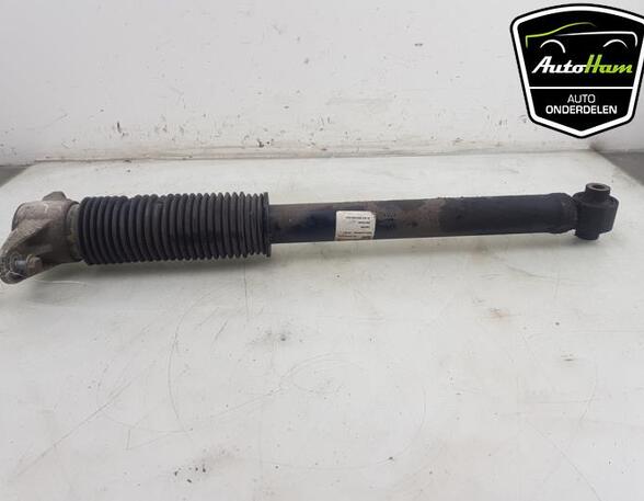 Shock Absorber TESLA MODEL 3 (5YJ3)