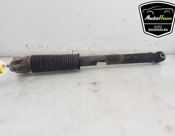 Shock Absorber TESLA MODEL 3 (5YJ3)