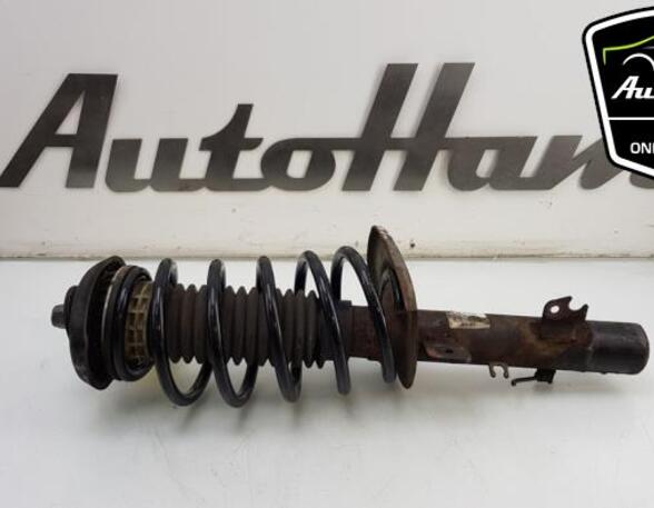 Shock Absorber PEUGEOT 207 CC (WD_), PEUGEOT 207 (WA_, WC_), PEUGEOT 207 SW (WK_)