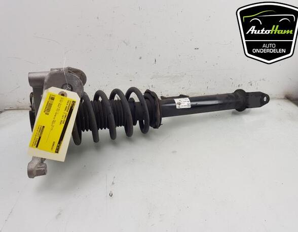 Shock Absorber TESLA MODEL 3 (5YJ3)