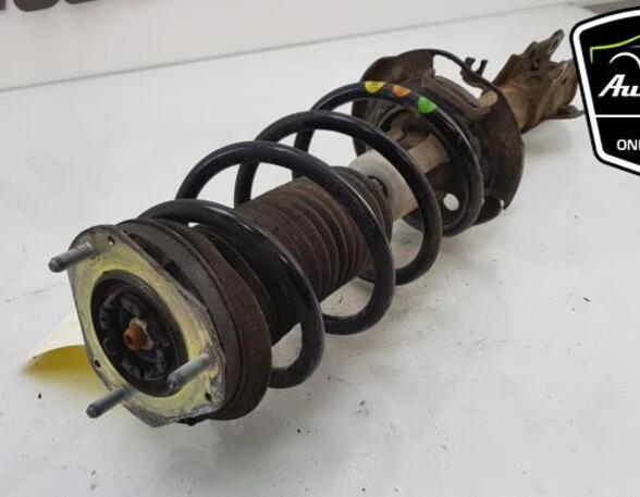 Shock Absorber FORD FIESTA VI (CB1, CCN)