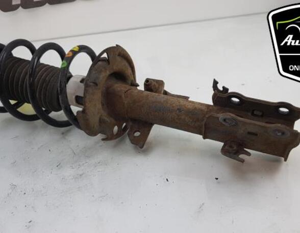 Shock Absorber FORD FIESTA VI (CB1, CCN)