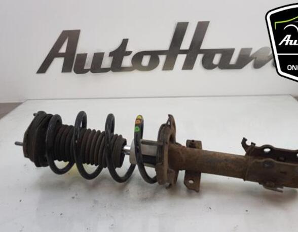 Shock Absorber FORD FIESTA VI (CB1, CCN)