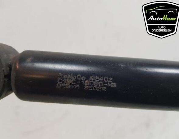 Shock Absorber FORD FIESTA VI (CB1, CCN)