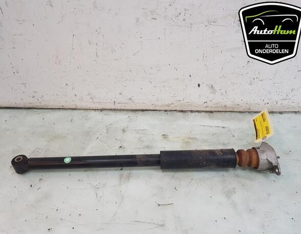 Shock Absorber FORD FIESTA VI (CB1, CCN)