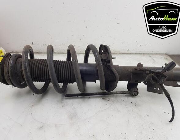 Shock Absorber FORD TRANSIT V363 Bus (FAD, FBD), FORD TRANSIT V363 Van (FCD, FDD)