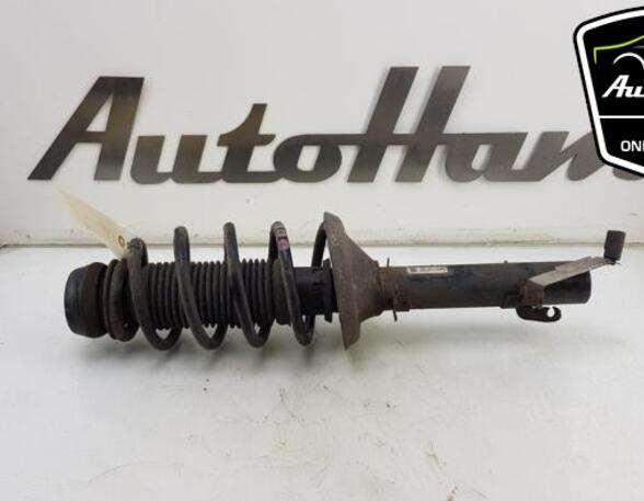 Shock Absorber VW BORA (1J2), VW GOLF IV (1J1)