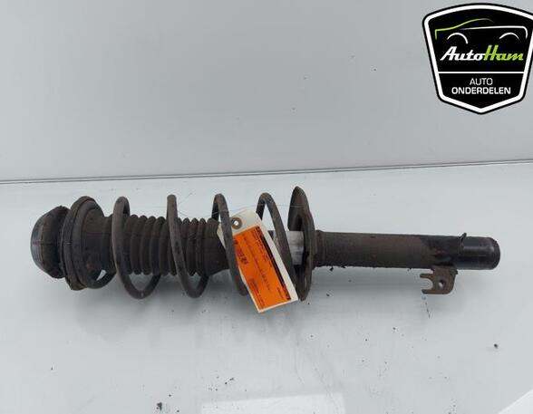 Shock Absorber PEUGEOT 107 (PM_, PN_), CITROËN C1 (PM_, PN_), TOYOTA AYGO (_B1_)