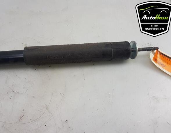 Shock Absorber SUZUKI VITARA (LY)